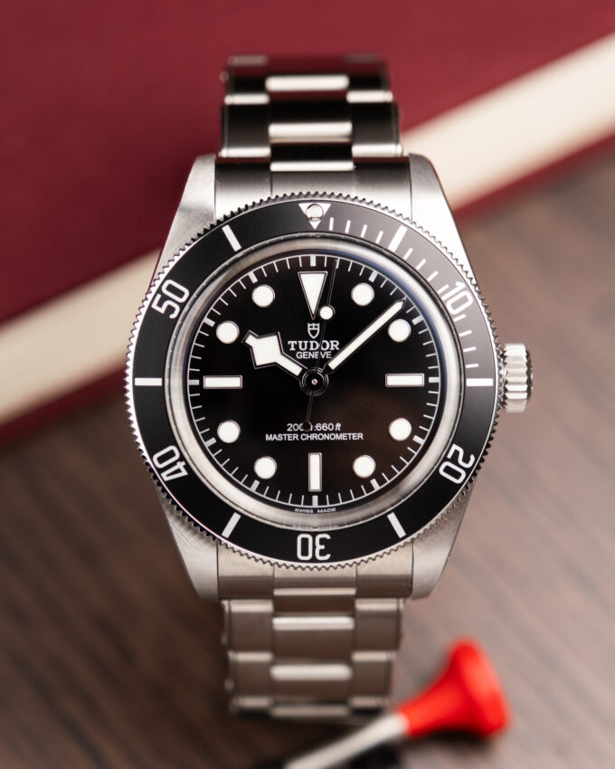 tudor black bay 41 monochrome slovenija